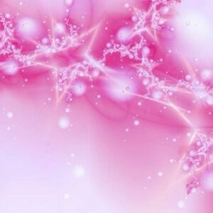 Meet your Posher, Jasmine!